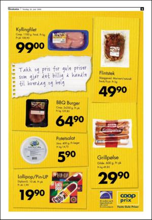 adresseavisen-20090625_000_00_00_005.pdf