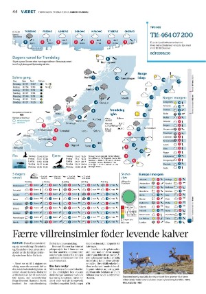 adresseavisen-20260219_000_00_00_044.pdf