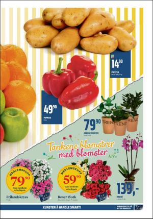 adresseavisen_bilag-20190729_000_00_00_003.pdf