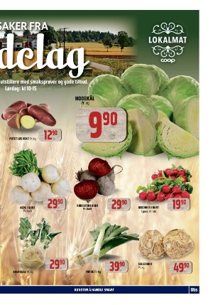 adresseavisen_bilag-20230911_000_00_00_003.pdf