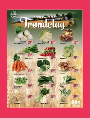 adresseavisen_bilag-20230912_000_00_00_024.pdf