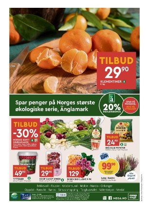 adresseavisen_bilag-20230919_000_00_00_008.pdf