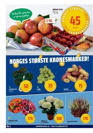 adresseavisen_bilag-20230925_000_00_00_012.pdf