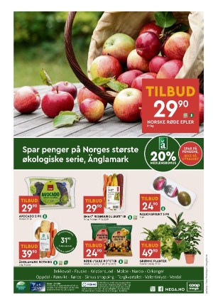 adresseavisen_bilag-20230926_000_00_00_008.pdf