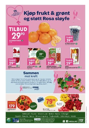 adresseavisen_bilag-20231003_000_00_00_008.pdf