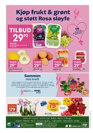 adresseavisen_bilag-20231010_000_00_00_008.pdf