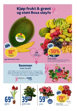 adresseavisen_bilag-20231016_000_00_00_003.pdf