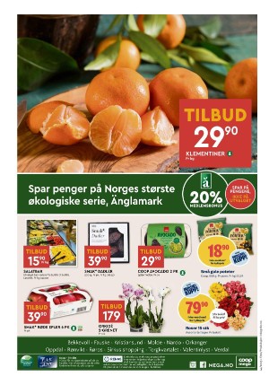 adresseavisen_bilag-20231031_000_00_00_008.pdf