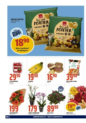 adresseavisen_bilag-20231106_000_00_00_016.pdf