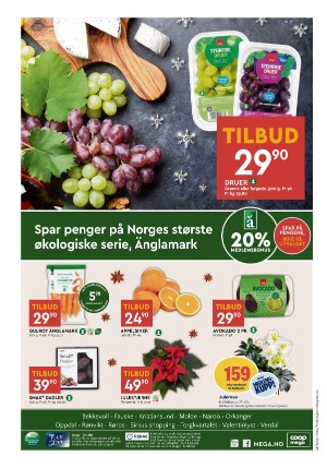 adresseavisen_bilag-20231128_000_00_00_008.pdf