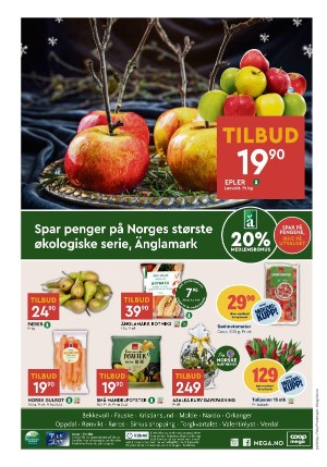 adresseavisen_bilag-20231212_000_00_00_008.pdf