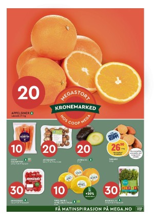 adresseavisen_bilag-20240116_000_00_00_007.pdf