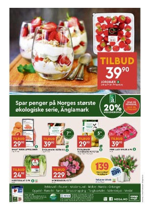 adresseavisen_bilag-20240206_000_00_00_008.pdf