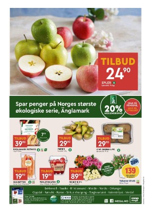 adresseavisen_bilag-20240213_000_00_00_008.pdf