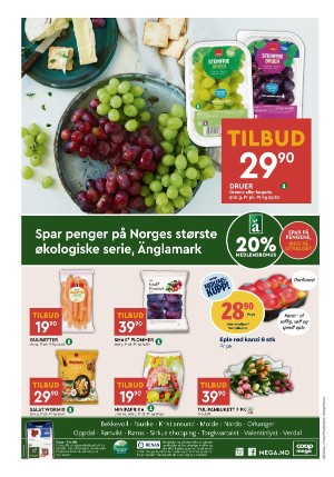 adresseavisen_bilag-20240220_000_00_00_008.pdf