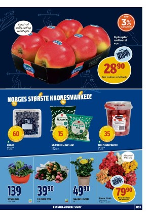 adresseavisen_bilag-20240226_000_00_00_011.pdf