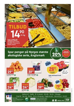 adresseavisen_bilag-20240227_000_00_00_008.pdf