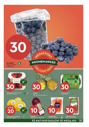 adresseavisen_bilag-20240305_000_00_00_007.pdf