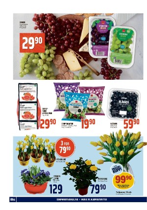 adresseavisen_bilag-20240311_000_00_00_016.pdf