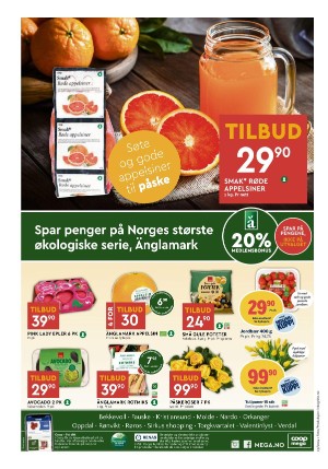 adresseavisen_bilag-20240326_000_00_00_008.pdf