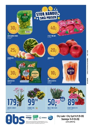 adresseavisen_bilag-20240402_000_00_00_012.pdf