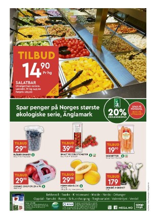 adresseavisen_bilag-20240403_000_00_00_008.pdf