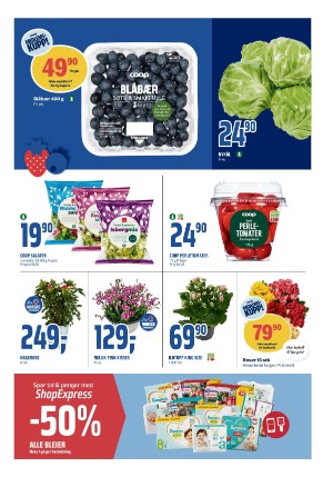 adresseavisen_bilag-20240415_000_00_00_003.pdf