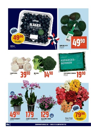 adresseavisen_bilag-20240422_000_00_00_016.pdf