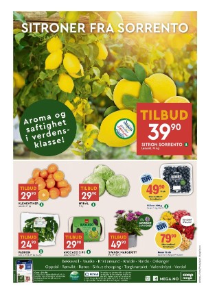 adresseavisen_bilag-20240423_000_00_00_008.pdf