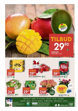 adresseavisen_bilag-20240528_000_00_00_008.pdf