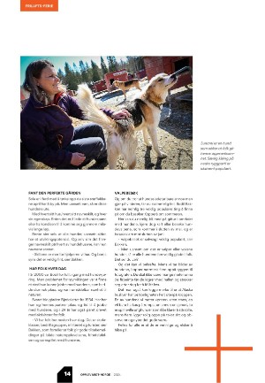 adresseavisen_bilag-20240528_000_00_00_014.pdf