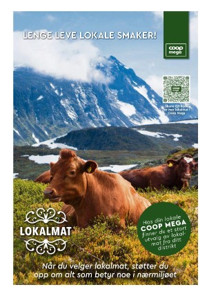 adresseavisen_bilag-20240604_000_00_00_004.pdf