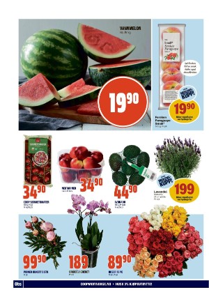 adresseavisen_bilag-20240617_000_00_00_012.pdf