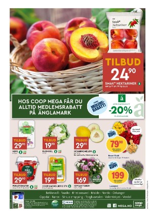 adresseavisen_bilag-20240625_000_00_00_008.pdf