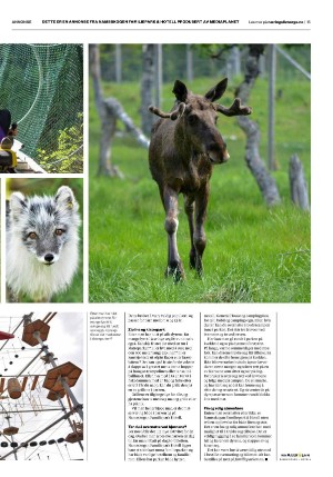 adresseavisen_bilag-20240628_000_00_00_015.pdf