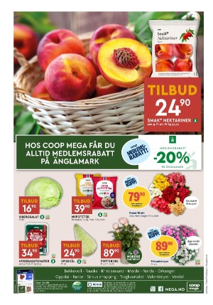 adresseavisen_bilag-20240702_000_00_00_008.pdf
