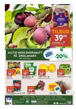 adresseavisen_bilag-20240904_000_00_00_008.pdf