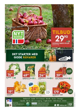 adresseavisen_bilag-20240924_000_00_00_008.pdf