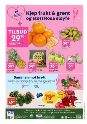 adresseavisen_bilag-20241008_000_00_00_008.pdf