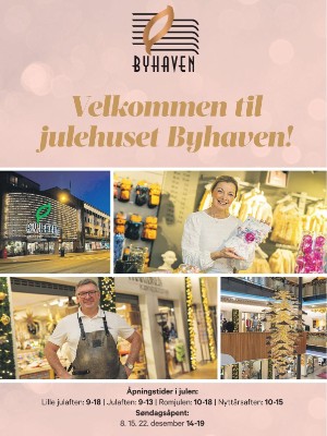 adresseavisen_bilag-20241130_000_00_00_007.pdf