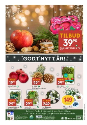 adresseavisen_bilag-20241230_000_00_00_008.pdf