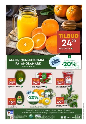 adresseavisen_bilag-20250103_000_00_00_008.pdf