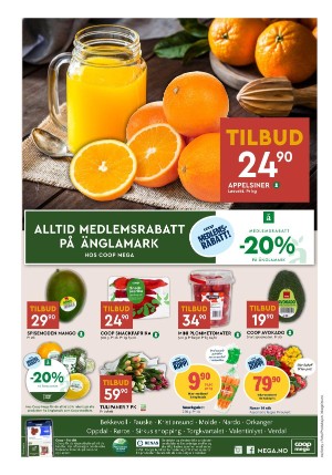 adresseavisen_bilag-20250107_000_00_00_008.pdf