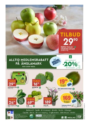adresseavisen_bilag-20250211_000_00_00_008.pdf