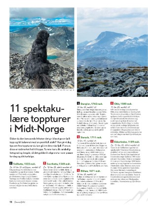adresseavisen_bilag-20250510_000_00_00_016.pdf