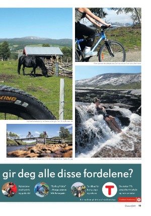 adresseavisen_bilag-20250510_000_00_00_019.pdf