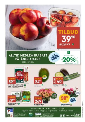 adresseavisen_bilag-20250528_000_00_00_008.pdf