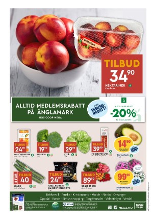 adresseavisen_bilag-20250708_000_00_00_008.pdf