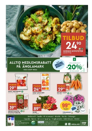 adresseavisen_bilag-20250722_000_00_00_008.pdf