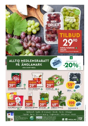 adresseavisen_bilag-20250805_000_00_00_008.pdf